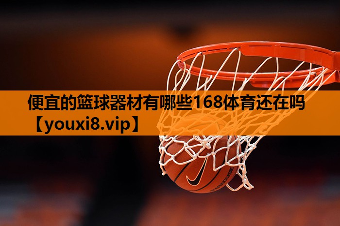 便宜的篮球器材有哪些168体育还在吗