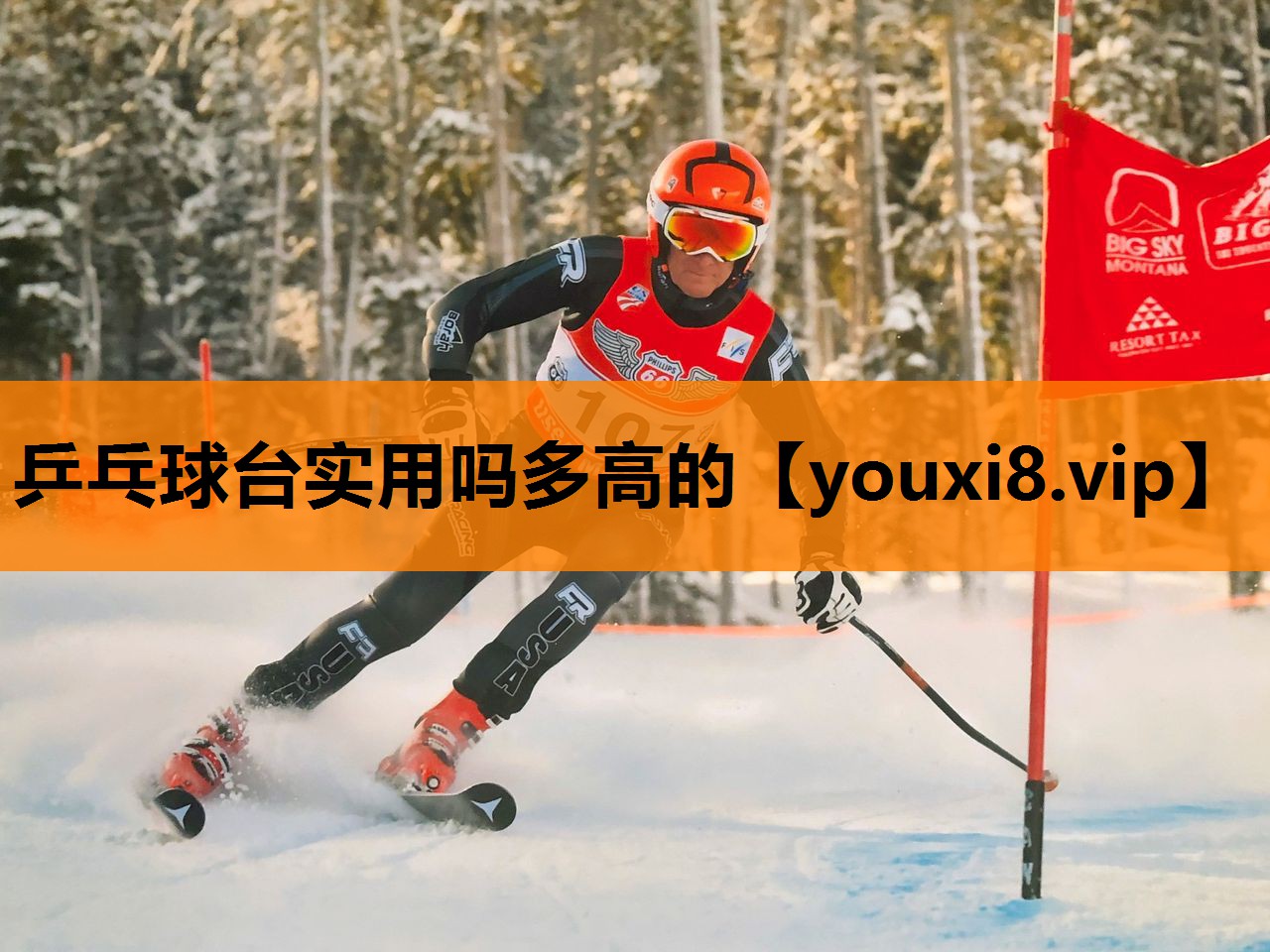 乒乓球台实用吗多高的
