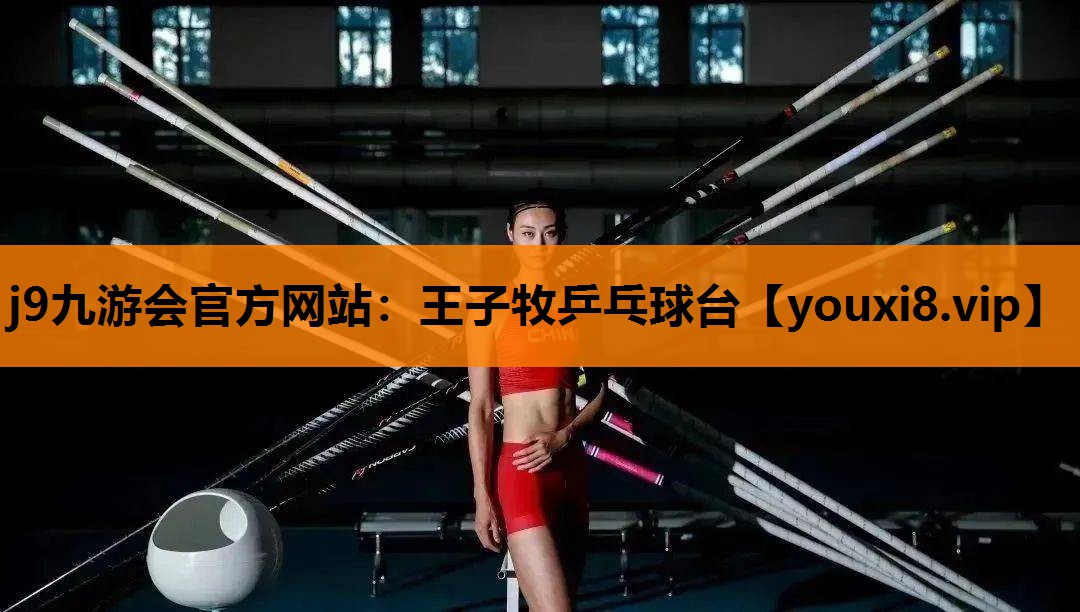 王子牧乒乓球台